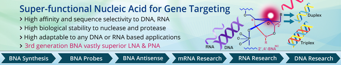3rd Generation Bridged Nucleic Acids (BNA) - A superior alternative to LNA & PNA